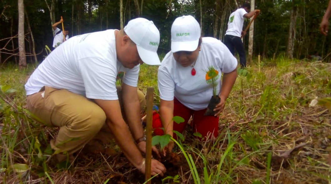 reforesta1